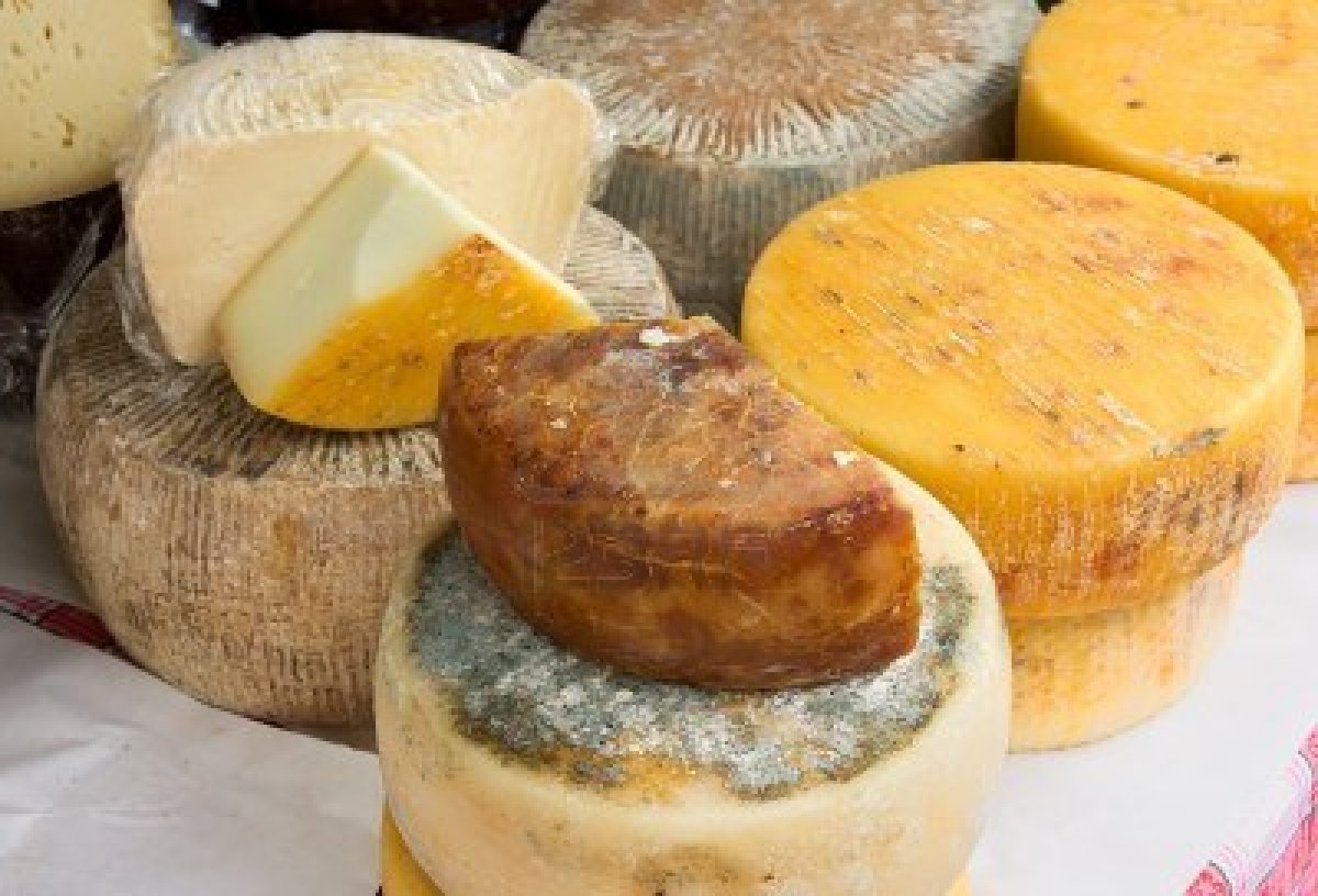 Casu Marzu Italian Food Travelers Wifi Casu Marzu Italian Food Travelers Wifi